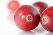 Foto: Cranberries Cranberries