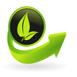 Vektor: bouton végétal flêche verte bouton végétal flêche verte