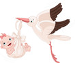 Vector: Stork And Baby Girl Stork And Baby Girl
