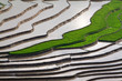 terraced rice fields with water in Mu Cang Chai, Yen Bai, Vietna