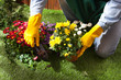 Foto: Jardinier Jardinier