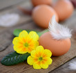 Foto: Ostern Ostern