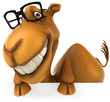 Fun camel