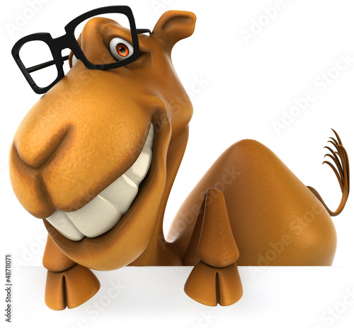 Illustration: Fun camel Fun camel