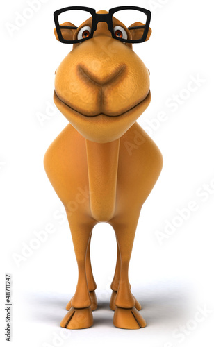 Illustration: Fun camel Fun camel