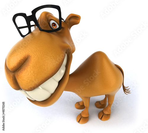 Illustration: Fun camel Fun camel