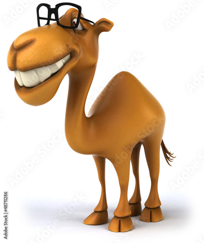 Illustration: Fun camel Fun camel