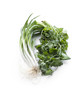 Green onions and cilantro.