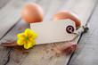 Foto: Ostern, Schild Ostern, Schild