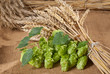 Foto: still life with hop cones still life with hop cones