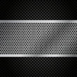 Vector Metal Grill on Carbon Fiber Background - Eps10
