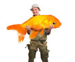 The Fisherman with a big Goldfish. Success concept.