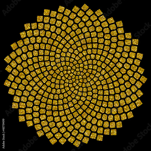 Illustration: Sonnenblumen - Samen - Fibonacci-Spirale - Goldener Schnitt Sonnenblumen - Samen - Fibonacci-Spirale - Goldener Schnitt