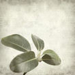 textured old paper background