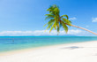 Foto: beautiful beach with coconut palm and sea beautiful beach with coconut palm and sea