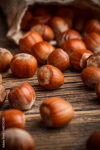 Photo: Hazelnuts Hazelnuts