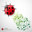 Vector: Vector Ladybug with Floral Vector Ladybug with Floral