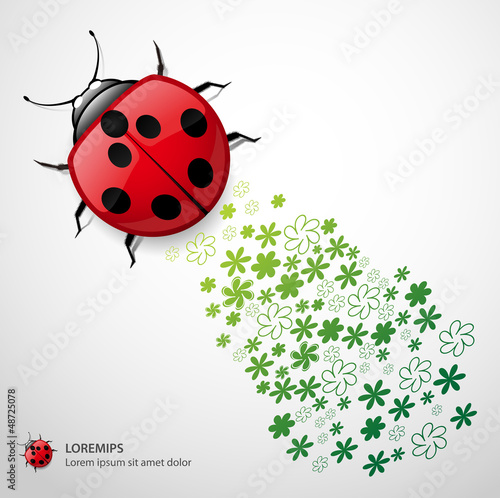 Vector: Vector Ladybug with Floral Vector Ladybug with Floral