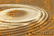 printed circuit