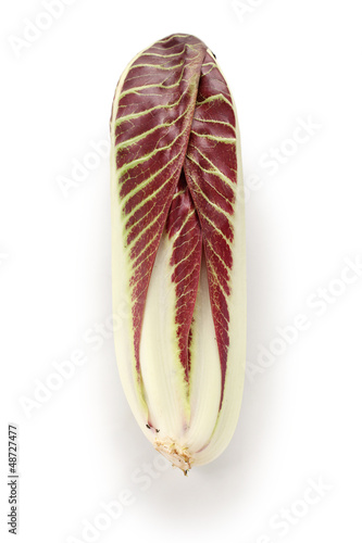 Photo: radicchio treviso precoce, italian red leaf chicory radicchio treviso precoce, italian red leaf chicory