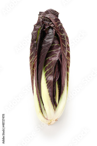 Photo: radicchio treviso precoce, italian red leaf chicory radicchio treviso precoce, italian red leaf chicory