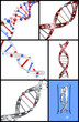 Collection. Structure Dnk