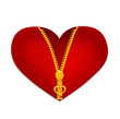 Red heart with zipper isolated on white background. Illustration