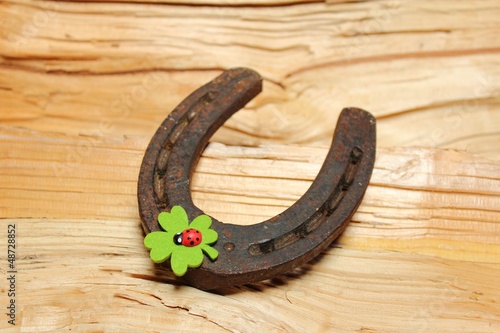 Photo: hufeisen mit kleeblatt und marienkäfe hufeisen mit kleeblatt und marienkäfe
