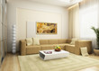 Modern sofa in the room