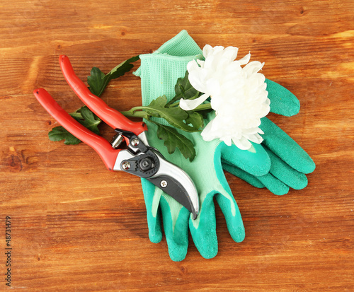 Photo: Secateurs with flower isolated on white Secateurs with flower isolated on white