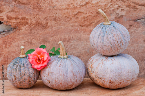Photo: still life with mini pumpkins on old wood still life with mini pumpkins on old wood