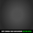 GRAY carbon fiber background VECTOR EPS10.