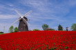 Alte Windmühle im Norden