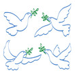 Tauben Illustration