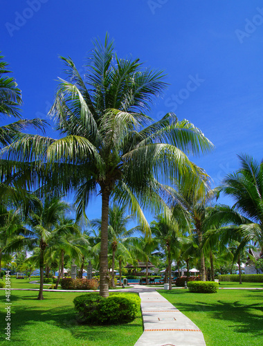 Photo: garden garden