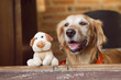 dog and friend