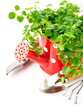 green plant in red watering can with garden tools