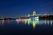 View of Tokyo at night with Rainbow Bridge