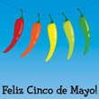 Cinco De Mayo!