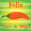 Cinco De Mayo!