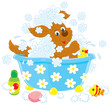 Funny brown pup washing in a small bath