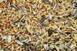 Vogelfutter