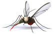 Fun mosquito