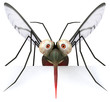Fun mosquito