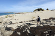 Henderson Bay in Northland New Zealand
