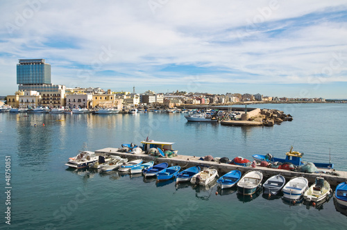 Photo: Panoramic view of Gallipoli. Puglia. Italy. Panoramic view of Gallipoli. Puglia. Italy.
