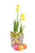 Ostern, Narzissen und ostereier