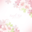 spring background of flower