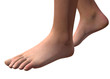 FOOT - 3D