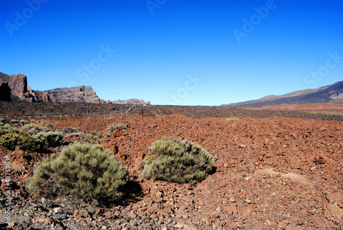 Photo: Tenerife,volcanic landscape in El Teide National Park Tenerife,volcanic landscape in El Teide National Park